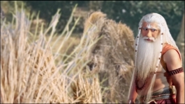 Tenali Rama - 25th February 2025